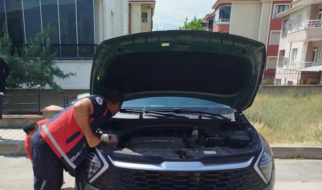 Otomobilin kaput kısmına sıkışan yavru kediler kurtarıldı Erzincan’da otomobilin kaput kısmına girip orada sıkışan iki yavru kedi