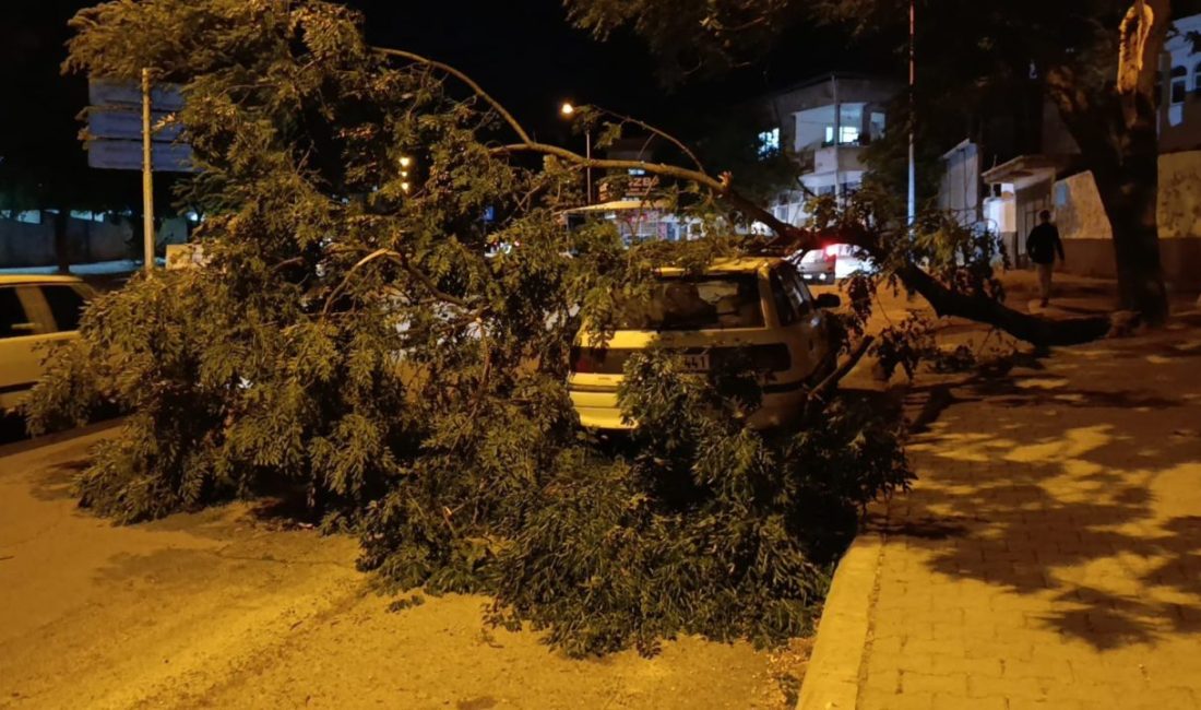 Park halindeki otomobilin üzerine ağaç devrildi Kahramanmaraş’ta etkili olan fırtına nedeniyle park halindeki otomobilin üzerine ağaç