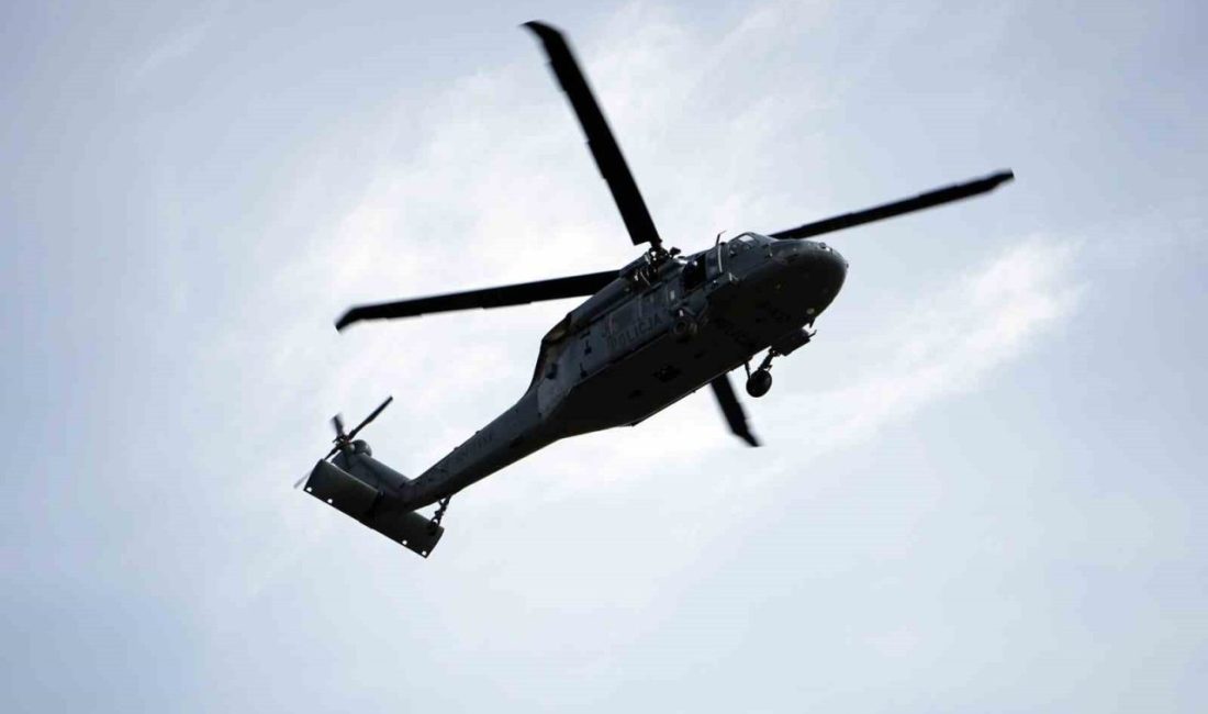 Polonya Silahlanma Ajansı (Agencja Uzbrojenia), ABD’den 32 adet S-70i Black