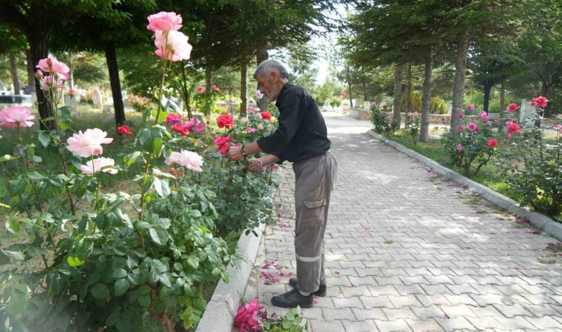 Niğde’nin Gümüşler beldesinde yaşayan bir şahıs, 19 yıl önce gördüğü