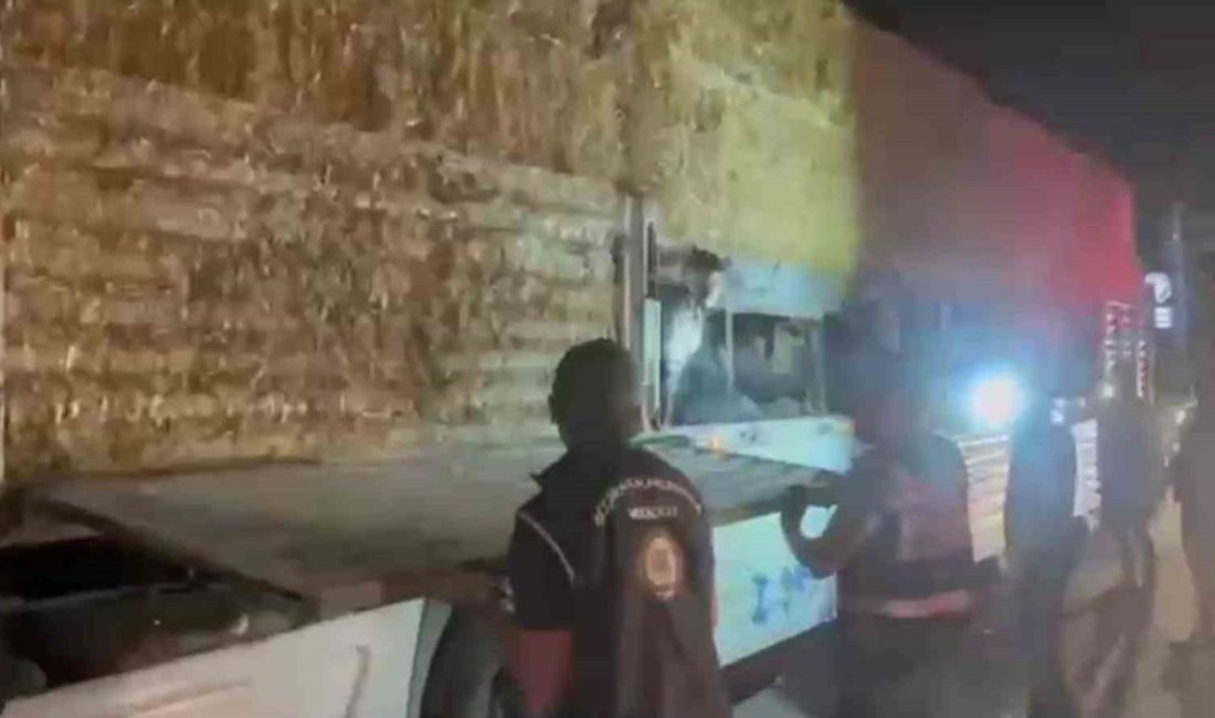 Saman balyalarının altına saklanan 31 kaçak göçmen yakalandı Hatay’da saman balyası yüklü tırda saklanan 31 kaçak göçmen yakalandı.