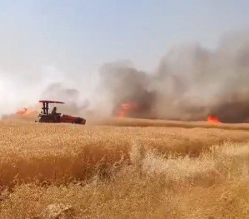 Şanlıurfa’da buğday tarlasında çıkan yangın kontrol altına alındı Şanlıurfa’nın Harran ilçesinde, 170 dönümlük buğday tarlasında çıkan yangın itfaiye