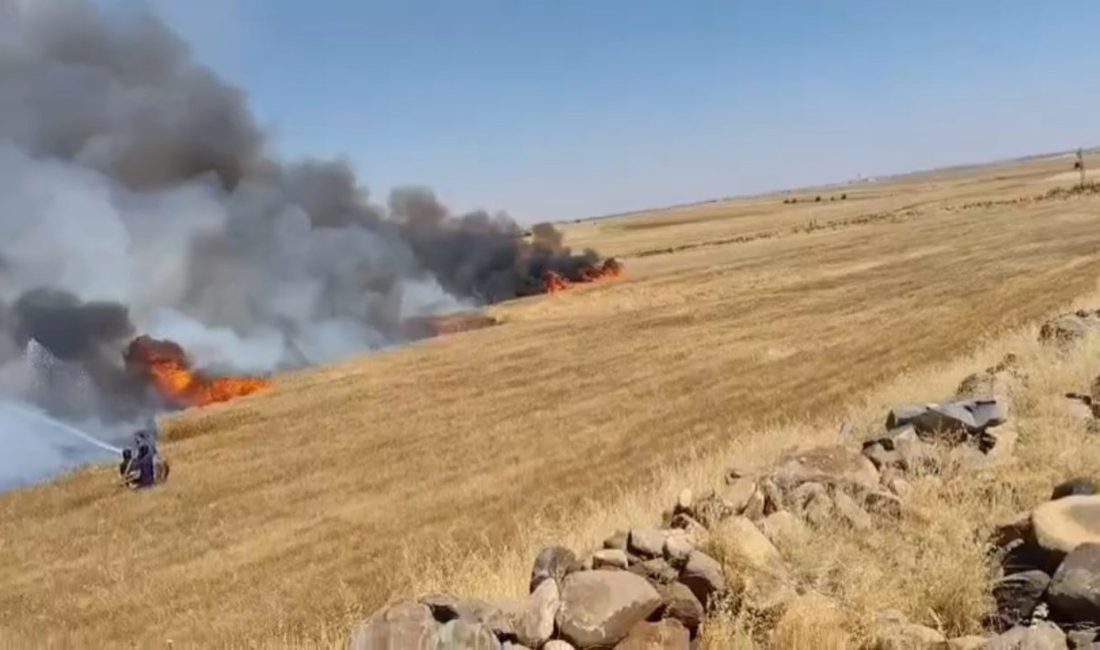 Şanlıurfa’da buğday tarlasında yangın: 1’i ağır 5 yaralı Şanlıurfa’nın Viranşehir ilçesinde buğday ekili arazide çıkan yangında yaklaşık bin