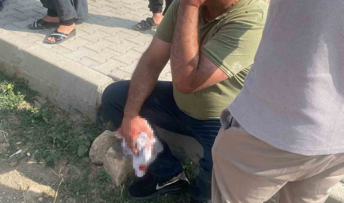 Şanlıurfa’da çocukların kavgasına büyükler karıştı: 5 yaralı Şanlıurfa’nın Hilvan ilçesinde, iki grup arasında çocuk kavgası nedeniyle çıkan