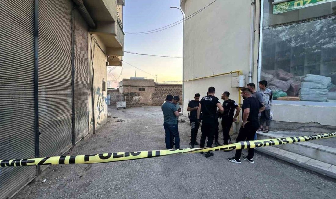 Şanlıurfa’da operasyonla yakalanan 3 cinayet şüphelisi tutuklandı Şanlıurfa’nın Siverek ilçesinde bir kişinin hayatını kaybettiği silahlı kavganın ardından