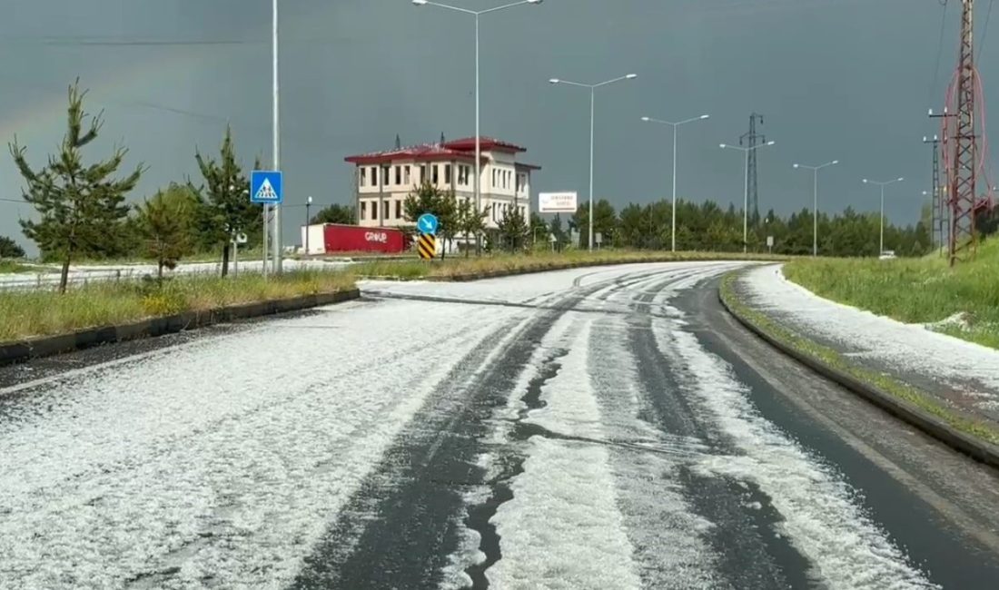 Sarıkamış’ta dolu yağışı hayatı olumsuz etkiledi Kars’ın Sarıkamış ilçesinde sağanak yağmurun ardından etkili olan dolu yağışı