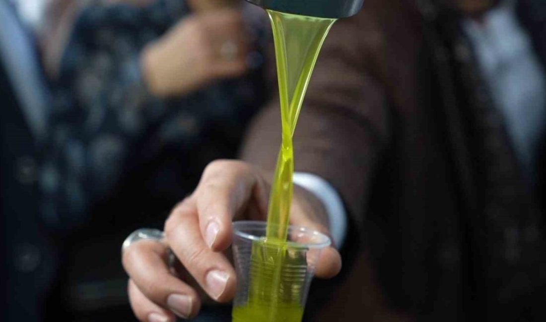Sıcaktan bunalanlara serinlemek için zeytinyağı önerisi Balıkesir’in Edremit ilçesinde yaz aylarının vazgeçilmezi olan zeytinyağı, diyet programlarında