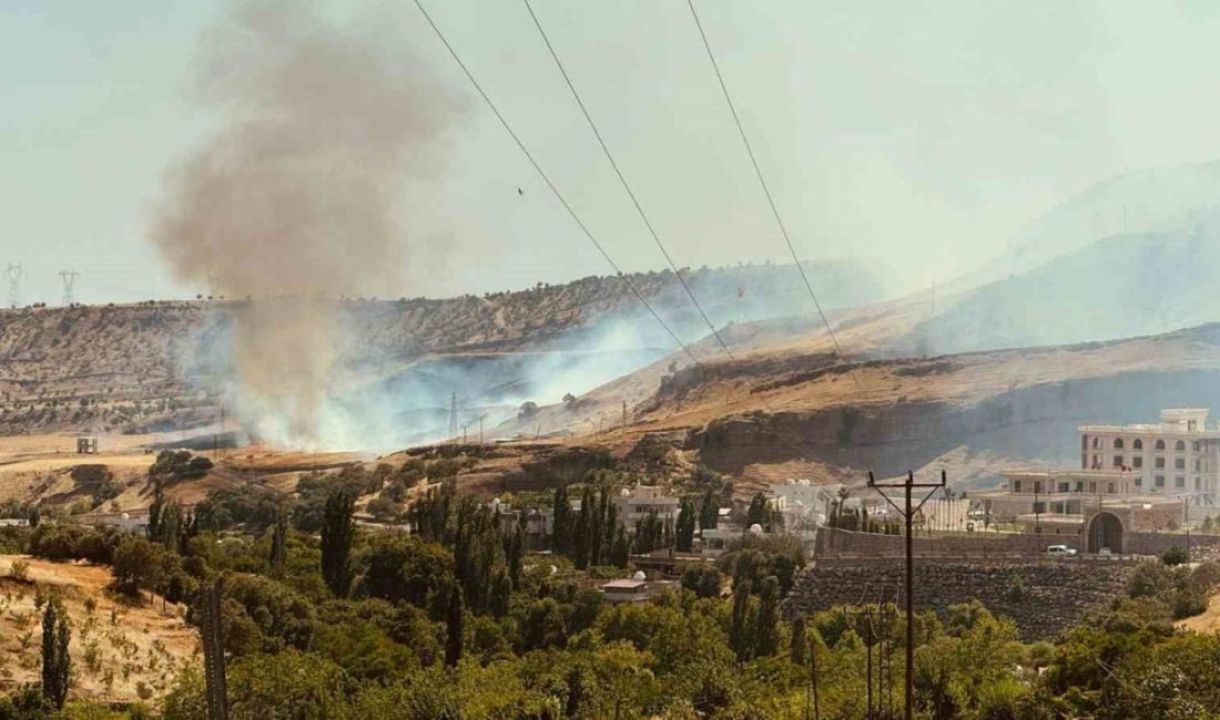 Silopi’de anız yangını, alevler 15 dönümü sardı Şırnak’ın Silopi ilçesine bağlı Görümlü beldesinde henüz bilinmeyen bir nedenle