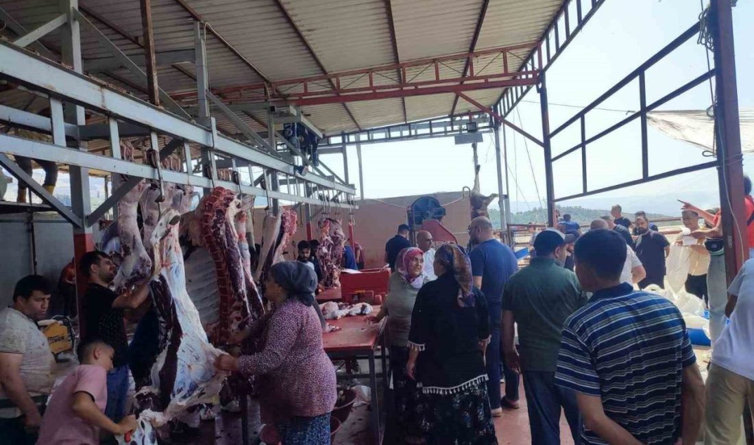 Aydın’ın Söke ilçesinde Kurban Bayramı’nda kurban kesim alanlarında hijyen ve