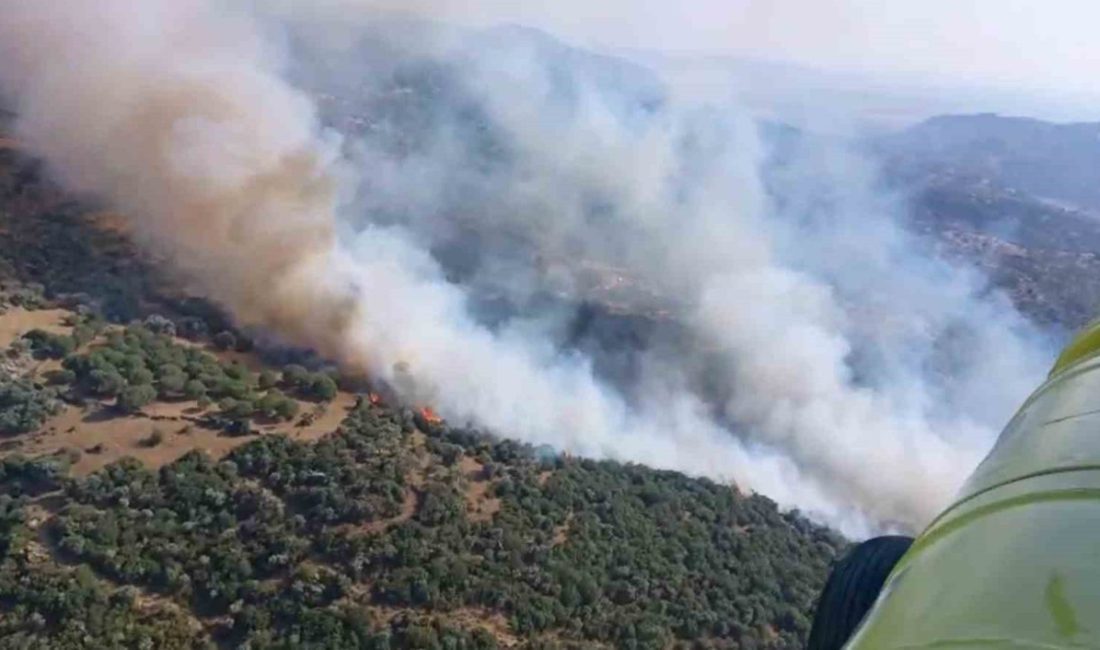 Aydın’ın Söke ilçesinde zirai alanda çıkan yangın ekiplerin yoğun çalışmaları