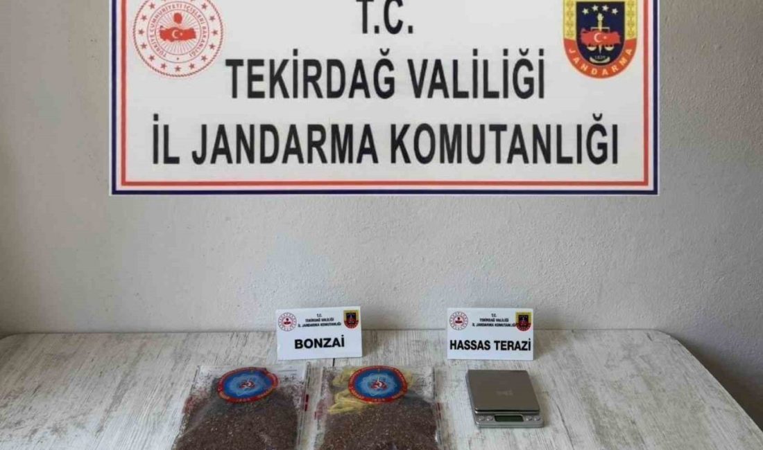 Tekirdağ’da cezaevine giden ziyaretçiden uyuşturucu çıktı Tekirdağ İl Jandarma Komutanlığı ekipleri, uyuşturucu ile mücadele kapsamında uyuşturucuya