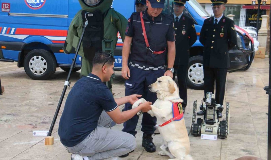 Teşkilatın gözbebekleri 186. kuruluş yıl dönümünde sergilendi Sivas’ta Jandarma Teşkilatı’nın 186. kuruluş yıl dönümü etkinlikleri kapsamında kurulan