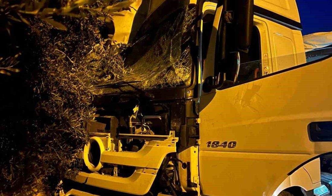 Mersin’de uyuyan sürücüsünün kontrolünden çıkan tır, önce üste geçide ardından