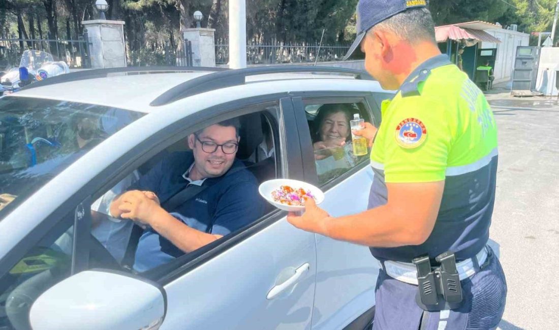 Aydın İl Jandarma Komutanlığı Trafik ve Otoyol Jandarma ekipleri, Kurban