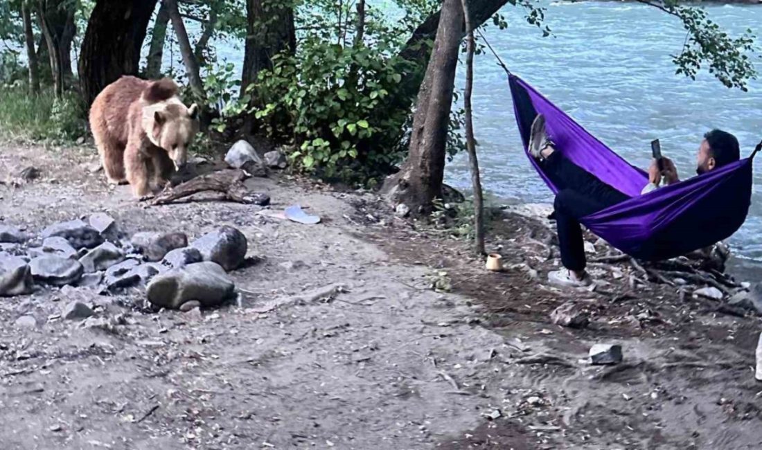 Tunceli Munzur Nehri kıyısında kamp yapan vatandaşlara misafir olan anne