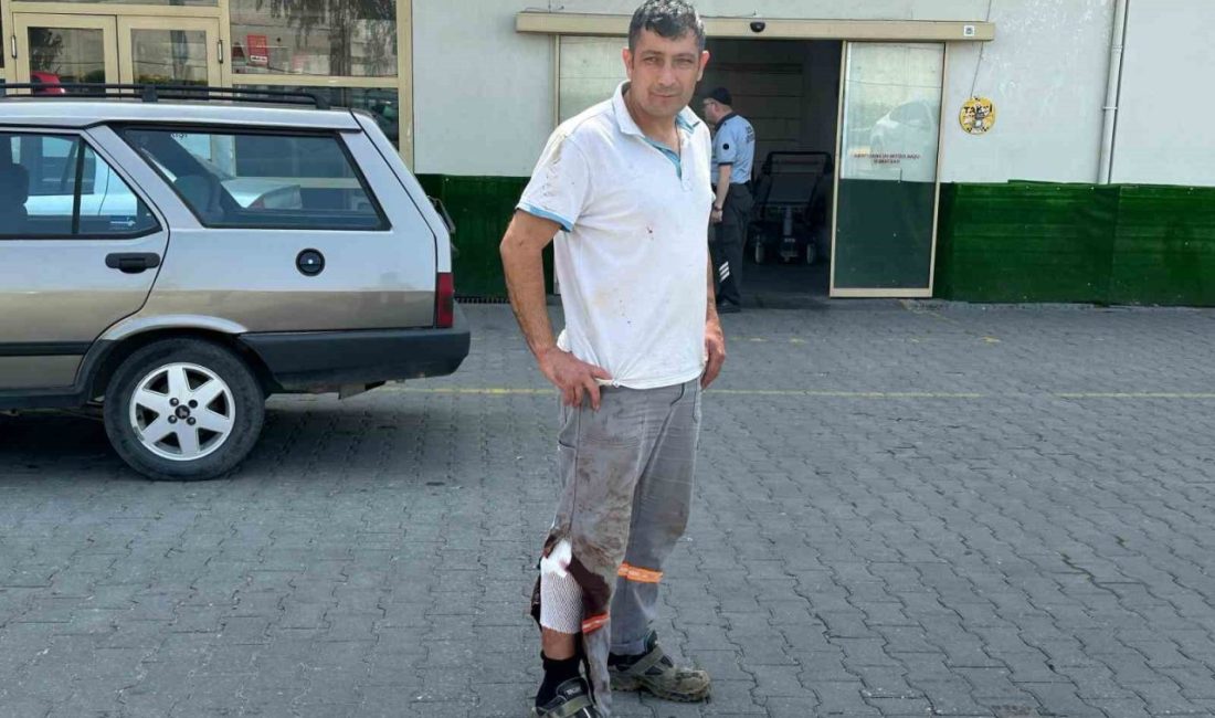 Uşak’ta acemi kasaplar hastanenin yolunu tuttu Uşak’ta Kurban Bayramı’nın 1. gününde kurban kesmek isteyen acemi kasaplar