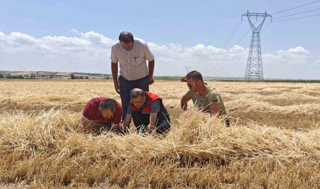 Uşak’ta tarım ekiplerinden biçerdöverlere sıkı denetim İl Tarım ve Orman Müdürlüğü biçerdöverlere denetim gerçekleştiren ekiplere İl