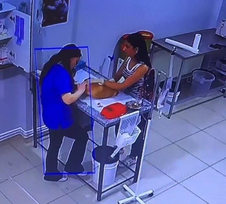 Veteriner kliniğinde köpeğini tedavi ettiren kadın bayıldı Bursa’da köpeğini tedavi için veterinere getiren bir kadın, muayene sırasında
