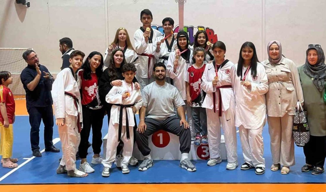 YayTanSay Kulübü’nden şampiyonada 13 madalya Kayseri Anadolu Yıldızlar Ligi Taekwondo Şampiyonası’nda YayTanSay Kulübü 13 madalya