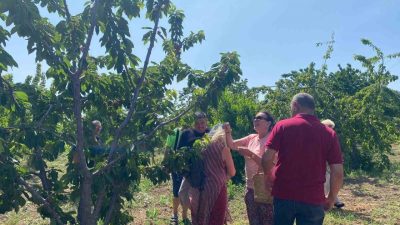 Türk sinemasının efsane ismi Perihan Savaş, yıllar sonra yeniden geldiği