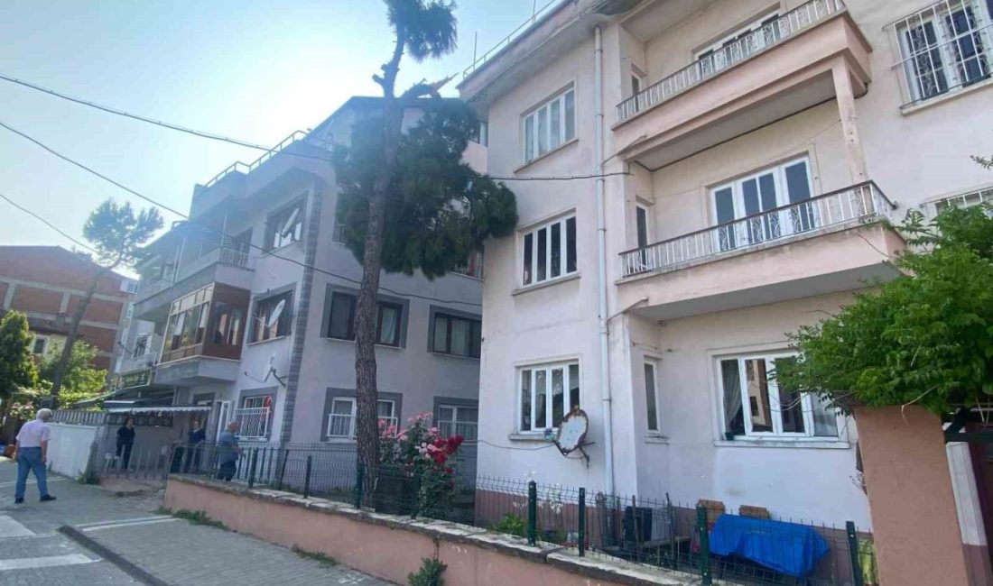 Bartın şehir merkezinde yıkılma tehlikesi bulunan ağaç kesilerek, tehlike ortadan