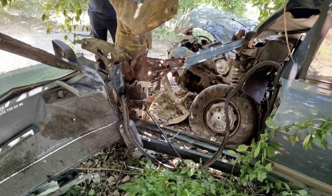 Yoldan çıkan otomobil ağaca çarptı: 1 yaralı Aydın’ın Nazilli ilçesinde sürücüsünün direksiyon hakimiyetini kaybettiği otomobil ağaca çarptı,
