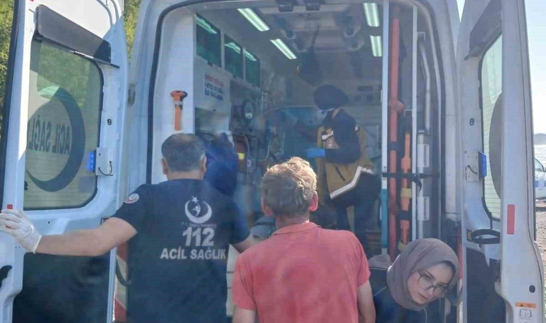 Yürüyüş yaparekn uçurumdan düşen kadın yaralandı Zonguldak’ın Alaplı ilçesinde yürüyüş yapan bir kadın uçurumdan düşerek yaralandı.