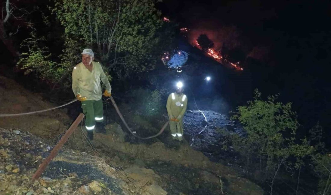 Ahır ve samanlıkta çıkan yangın ormanlık alana sıçradı, müdahale sürüyor Elazığ’da ahır ve samanlıkta çıkan yangın ormanlık alana sıçradı. Elazığ