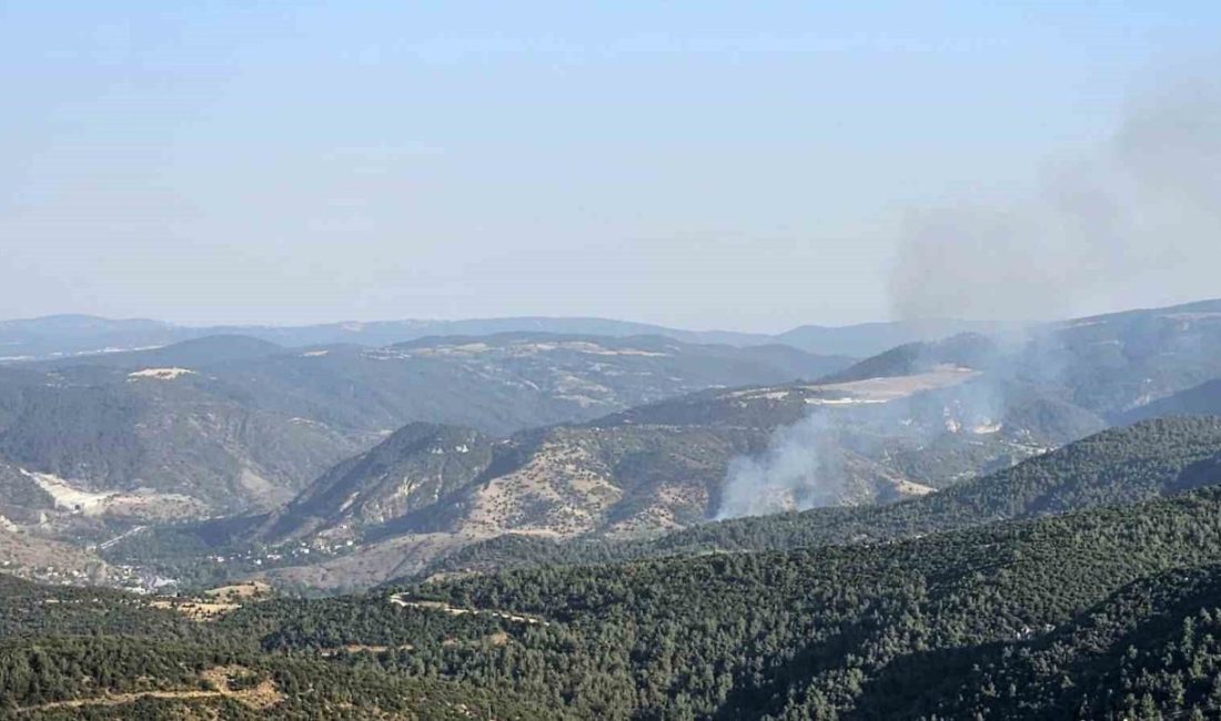 Bilecik’te çıkan orman yangını kontrol altına alındı Bilecik merkeze bağlı Bekdemir köyünde çıkan orman yangını, ekiplerin söndürme