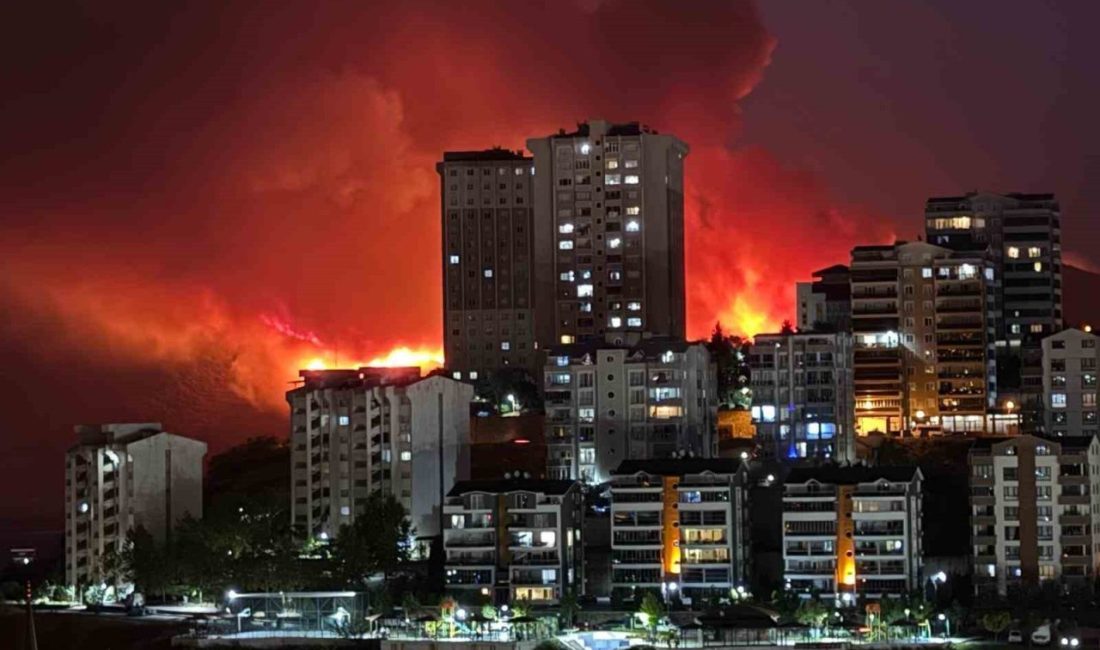 Bursa’da gecenin karanlığı yangının alevleriyle aydınlandı Kestel ile Gürsu ilçeleri arasındaki ormanlık alanda başlayan yangın, gece