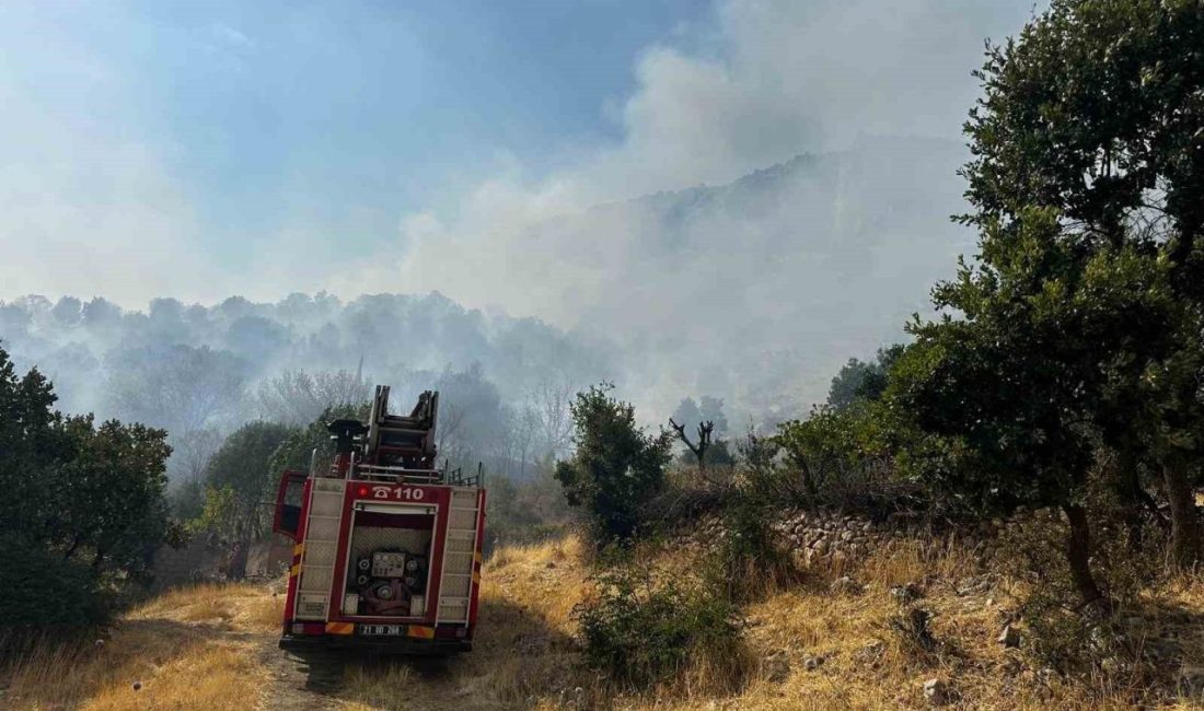 Diyarbakır’da çıkan orman yangınına 9 saattir müdahale devam ediyor Diyarbakır’ın Lice ilçesinde çıkan orman yangınına 9 saattir helikopter desteğiyle