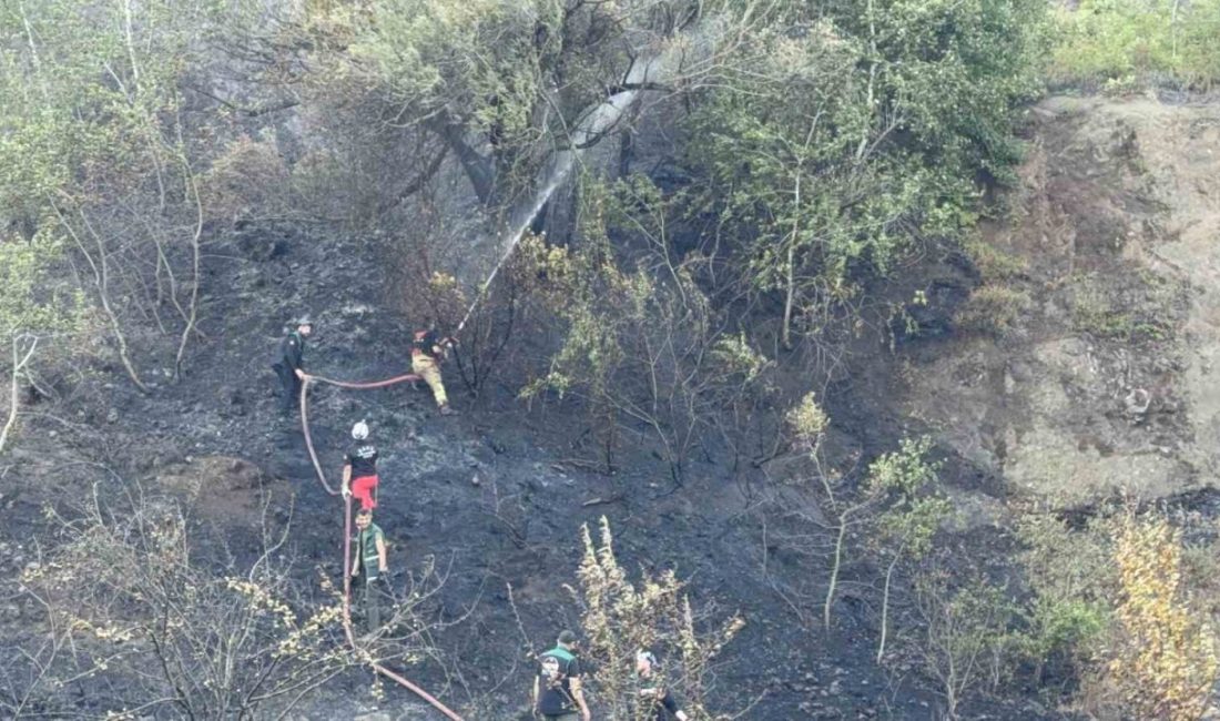 Düzce-Sakarya sınırındaki orman yangını kontrol altına alındı Düzce-Sakarya sınırında ormanlık alanda çıkan yangın, ekiplerin yaklaşık 6 saatlik