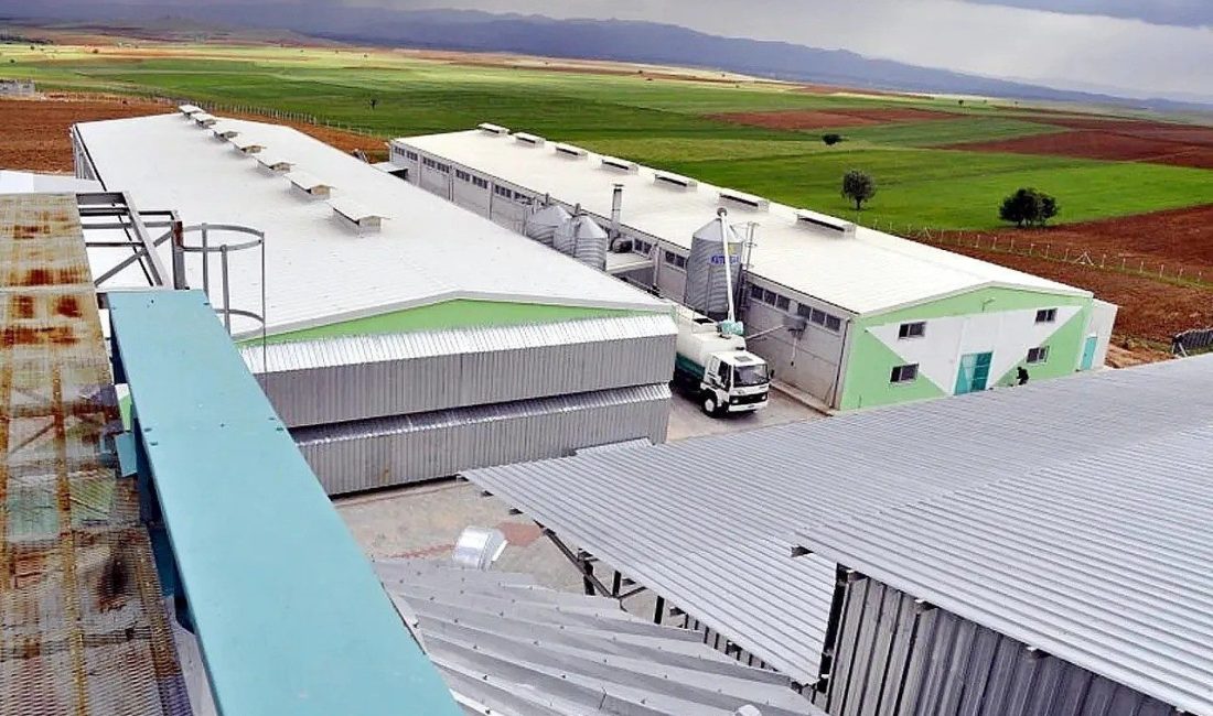(Düzeltme) Afyonkarahisar’daki yumurta firmasına, FETÖ soruşturması kapsamında kayyum atandı FETÖ soruşturmaları kapsamında el konulan HAKMAR ve TATBAK isimli firmalara