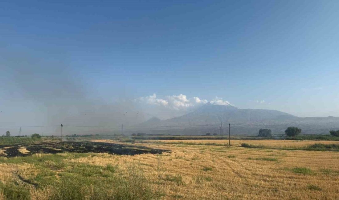 Iğdır’da çıkan anız yangını gün boyu sürdü Iğdır’ın Karakoyunlu ilçesine bağlı Taşburun köyü yakınlarında, hasadı tamamlanmış bir