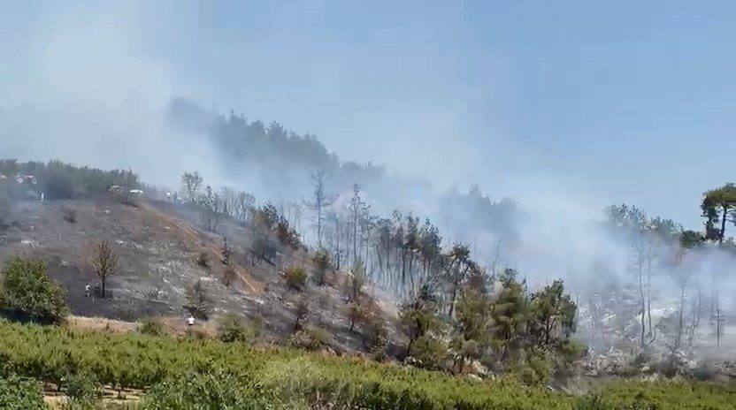 İznik’te orman yangını kontrol altına alındı Bursa’nın İznik ilçesinde çıkan orman yangını ekiplerin hızlı müdahalesiyle kontrol