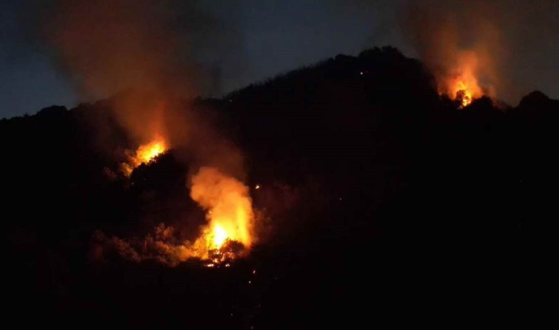 Zonguldak’ın Karadeniz Ereğli ilçesinde elektrik kontağından çıktığı iddia edilen orman