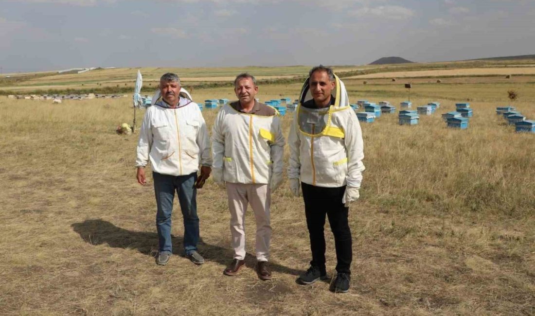 Kars’ta 2025 yılında bin 800 ton bal rekoltesi beklentisi Kars’ta 2025 yılı için bin 800 ton bal rekoltesi bekleniyor.
