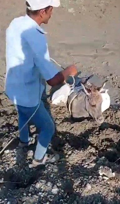 Kars’ta çamura saplanan eşek kurtarıldı Kars’ta çamura saplanan eşeği, vatandaşlar kurtardı. Kars’ın Akyaka ilçesine bağlı