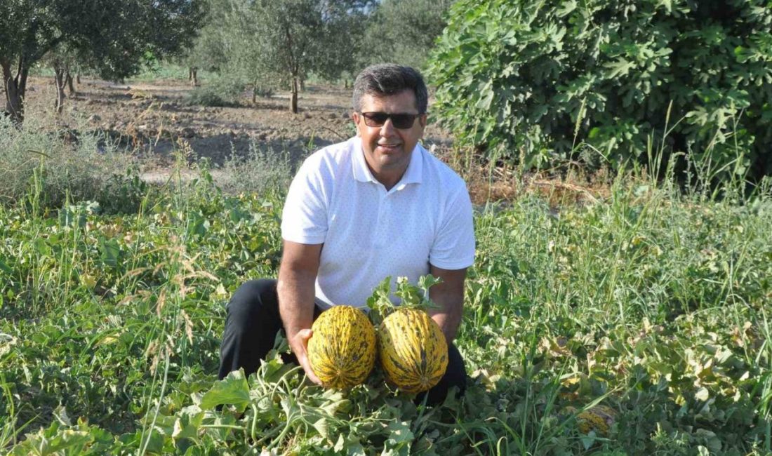 Kırkağaç Kavunu AB’den tescil alan 38. ürün oldu Manisa’nın Kırkağaç ilçesinin dünyaca ünlü kavunu AB’den tescil alan 38.