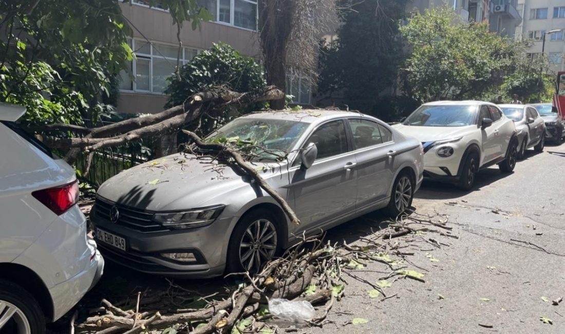 İstanbul’un Şişli ilçesinde kurumuş ağaç dalı, park halindeki aracın üzerine