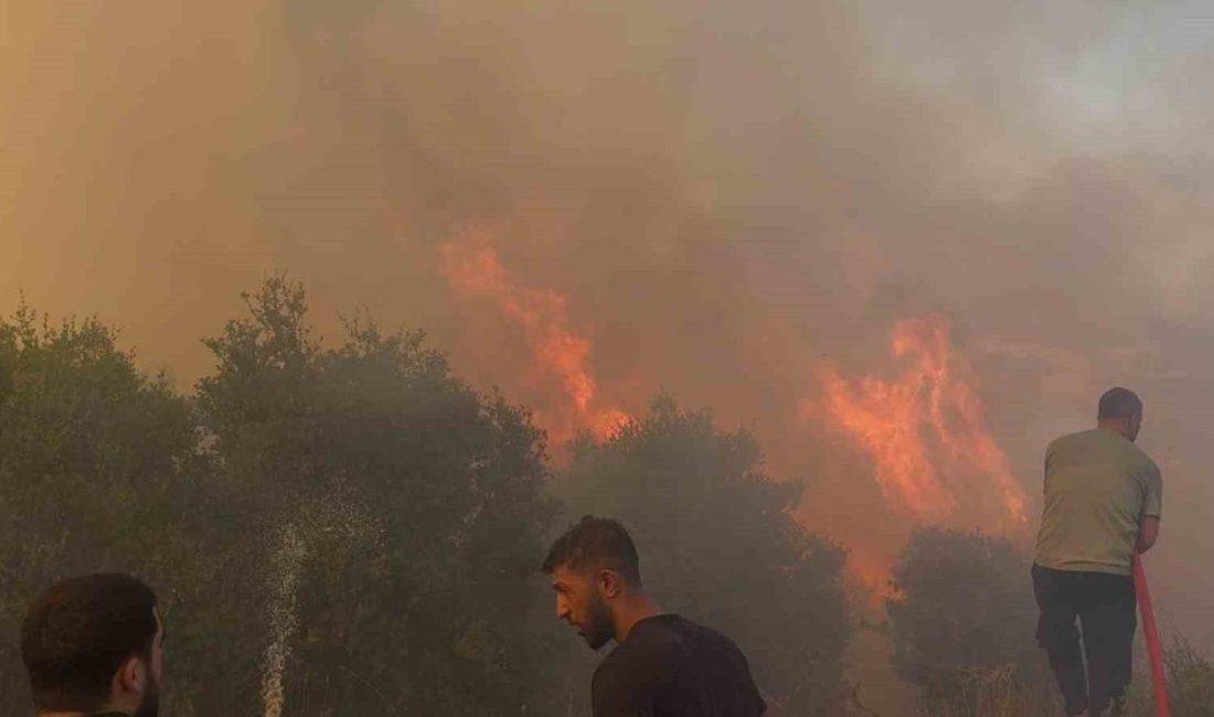 Antalya’nın Aksu ilçesinde mahallenin dört ayrı noktasında çalılık alanda başlayan