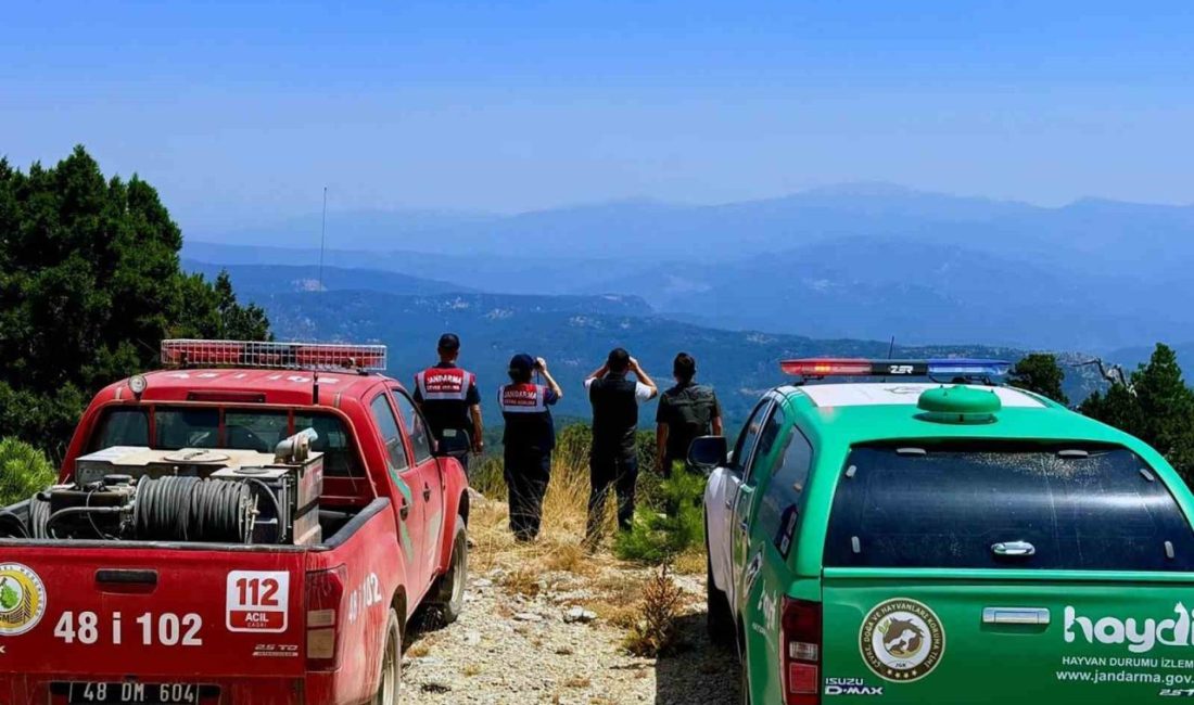 Muğla oranlarında 24 saat nöbet Yüzde 67’si ormanlarla kaplı ve yangına en hassas iller arasında