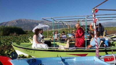 Türkiye’nin en büyük nilüfer çiçeği tarlasına ev sahipliği yapan Işıklı