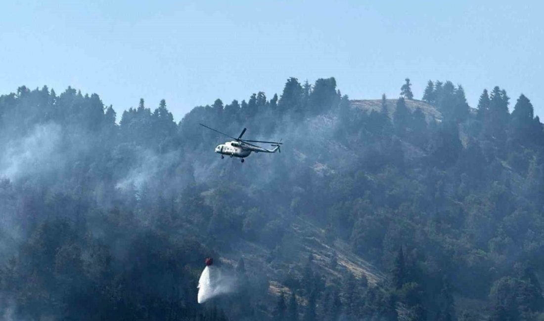 Osmaniye’nin çıkan orman yangını devam ediyor Osmaniye’nin Düziçi ilçesinde başlayan orman yangınına ekiplerin müdahalesi havadan ve