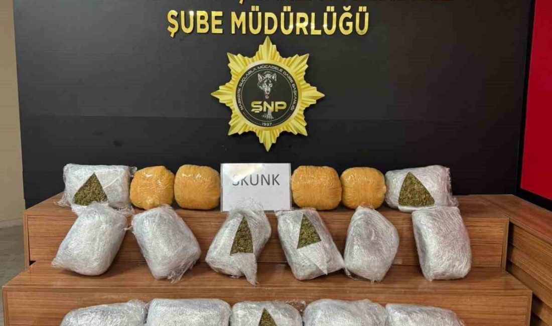Şanlıurfa’da 25 kilogram uyuşturucu ele geçirildi Şanlıurfa’da polis tarafından gerçekleştirilen operasyonda 25 kilo 250 gram skunk