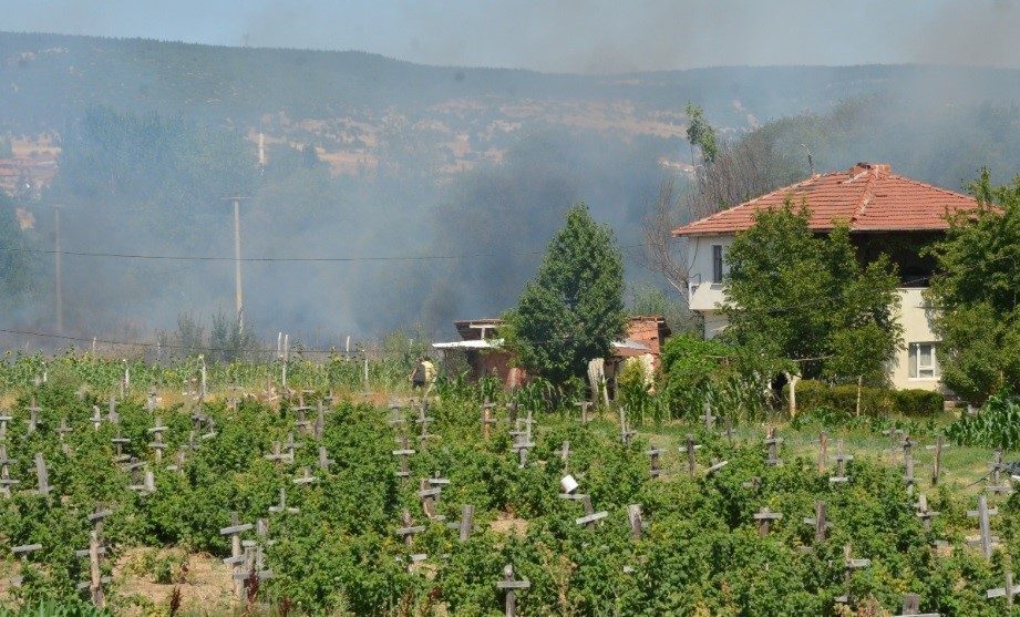 Tunçbilek yolu yakınında çıkan yangın kısa sürede kontrol altına alındı Kütahya’nın Tavşanlı ilçesinde çıkan orman yangını kontrol altına alındı. Tunçbilek
