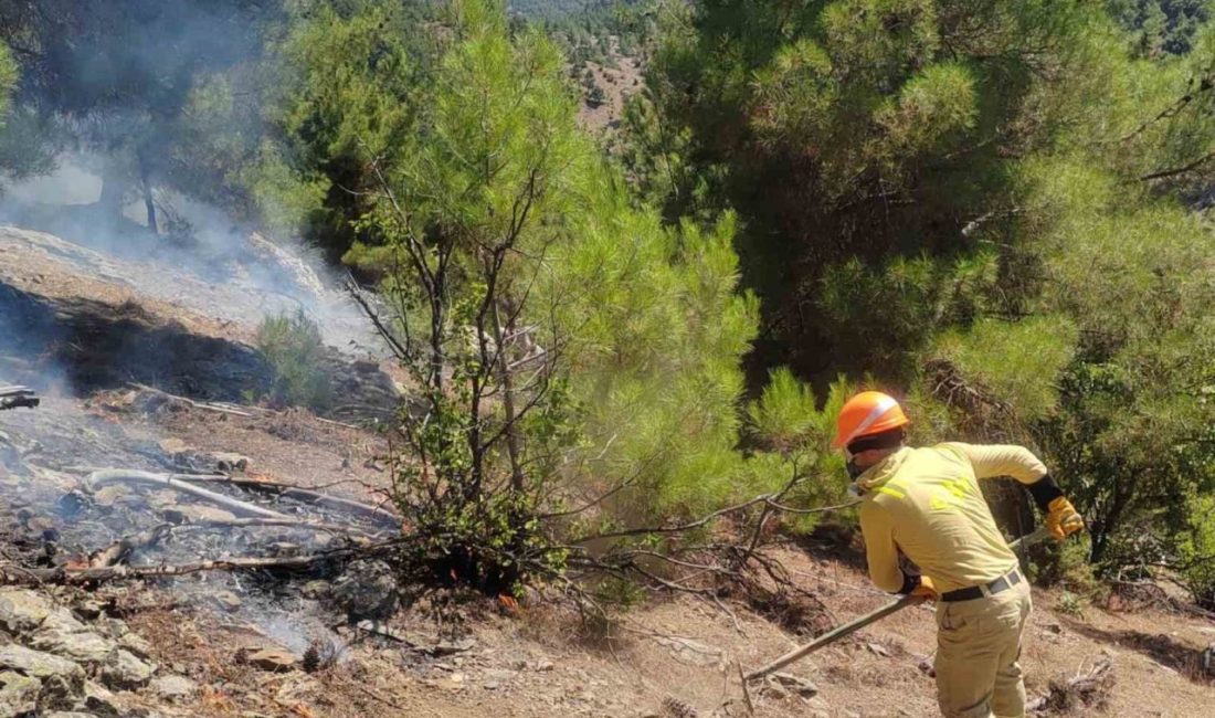 Adana’nın Feke ilçesi sınırlarında çıkan orman yangını ekiplerin havadan ve