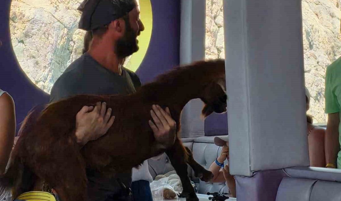 Antalya’nın Alanya ilçesinde, Alanya Kalesi açıklarında 3 gündür kayalık alanda