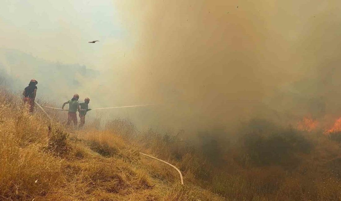 Arnavutluk’ta orman yangını: 1 ölü, 8 yaralı Arnavutluk’ta devam eden orman yangınlarında 1 kişi hayatını kaybetti, 8