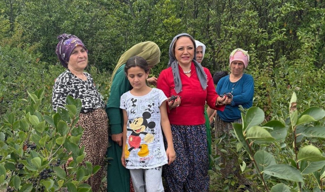 Sağlık Turizmi Konfederasyonu (SATKOF) Genel Başkanı Prof. Dr. Aysun Bay,